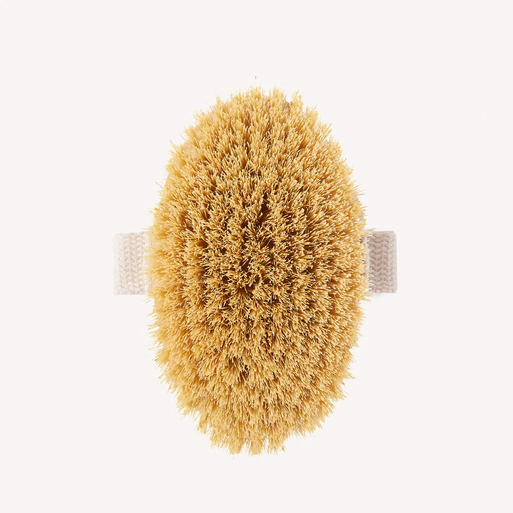 Dry Body Brush