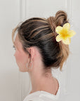 Yellow Maui flower Hair Clips