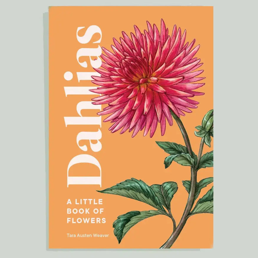 A Little Book of Flowers: Dahlias